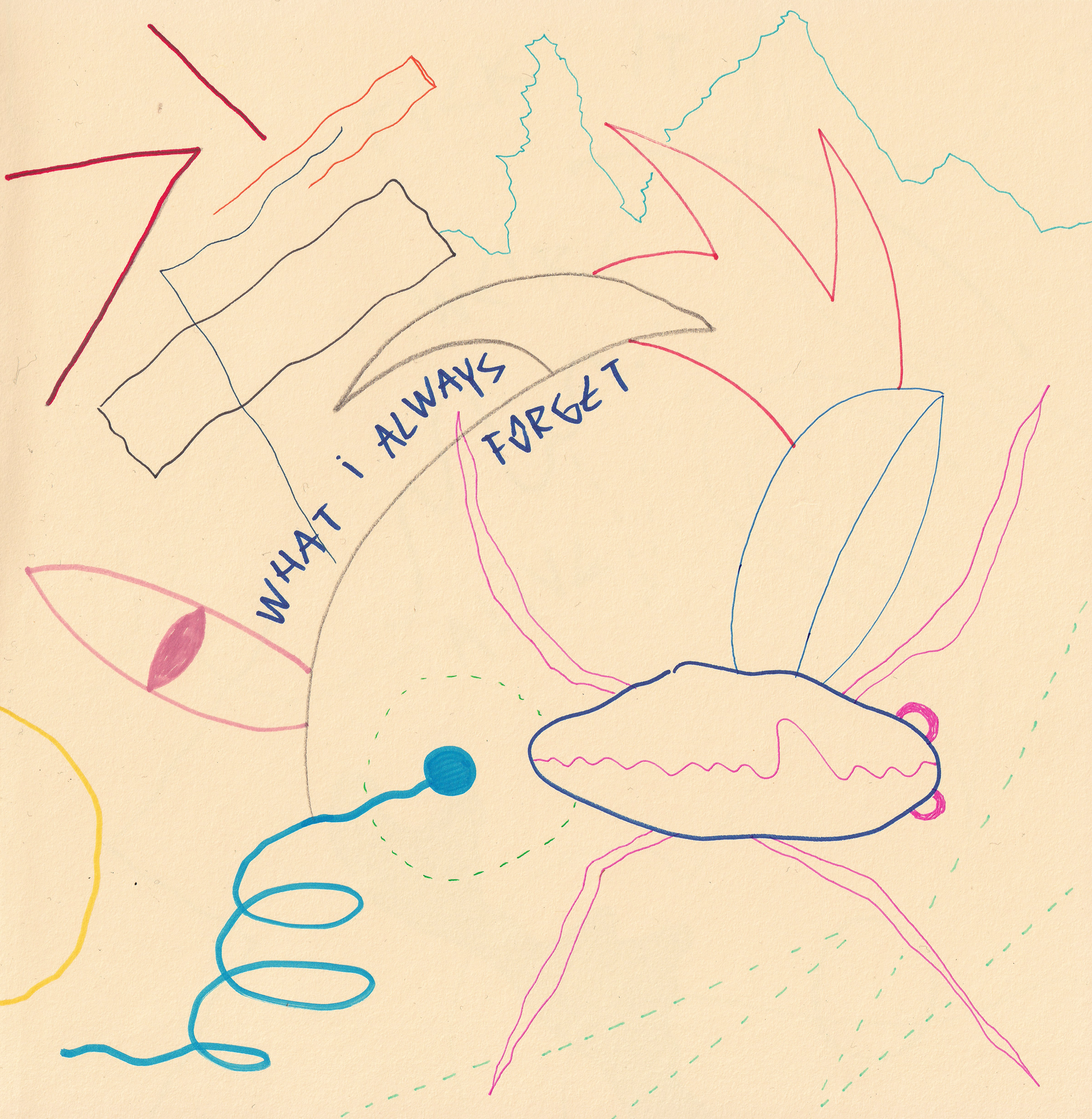 Amnesia — what i always forget